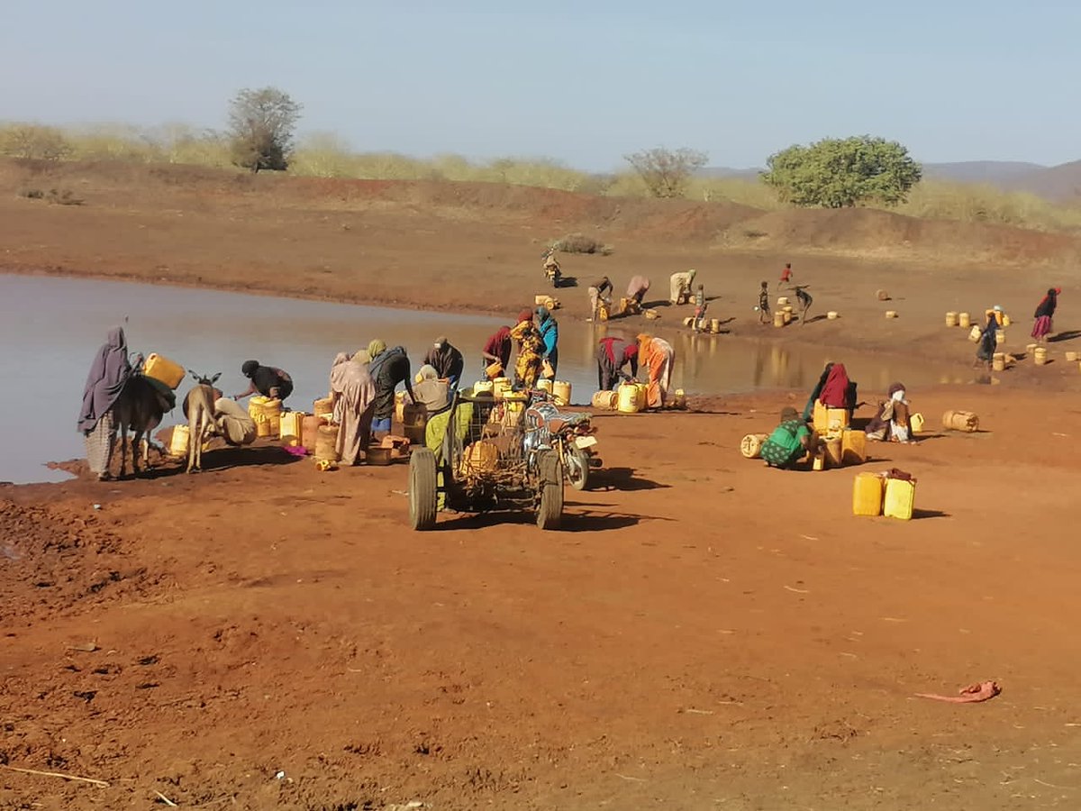 NadeefSO's tweet photo. The Somali people in times of drought compared to their leadership in NEP

If this isn't dystopian, I don't know what isn't
#Kenya #Mandera #NEP #NotAnInchLess https://t.co/gYerXCx803
