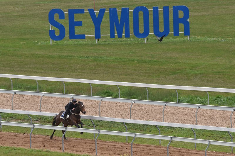 Magic Millions (@mmsnippets) on Twitter photo A successful breeze up session was held <a href="/seymourrc/">Seymour Racing Club</a> today in preparation for next month's Gold Coast 2YOs in Training Sale. 21 youngsters breezed & the times are available via the online catalogue here:
bit.ly/3j1VC2O
Video clips will be available in the next few days. A successful breeze up session was held <a href="/seymourrc/">Seymour Racing Club</a> today in preparation for next month's Gold Coast 2YOs in Training Sale. 21 youngsters breezed & the times are available via the online catalogue here:
bit.ly/3j1VC2O
Video clips will be available in the next few days.