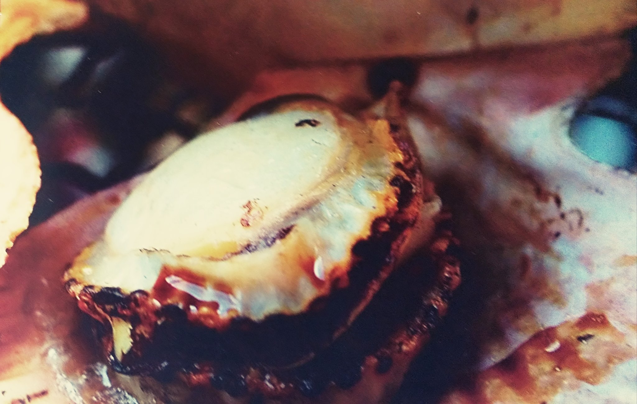 対馬またぎ猪鹿鳥 イノシシ焼肉 Inosikatyou0 Twitter