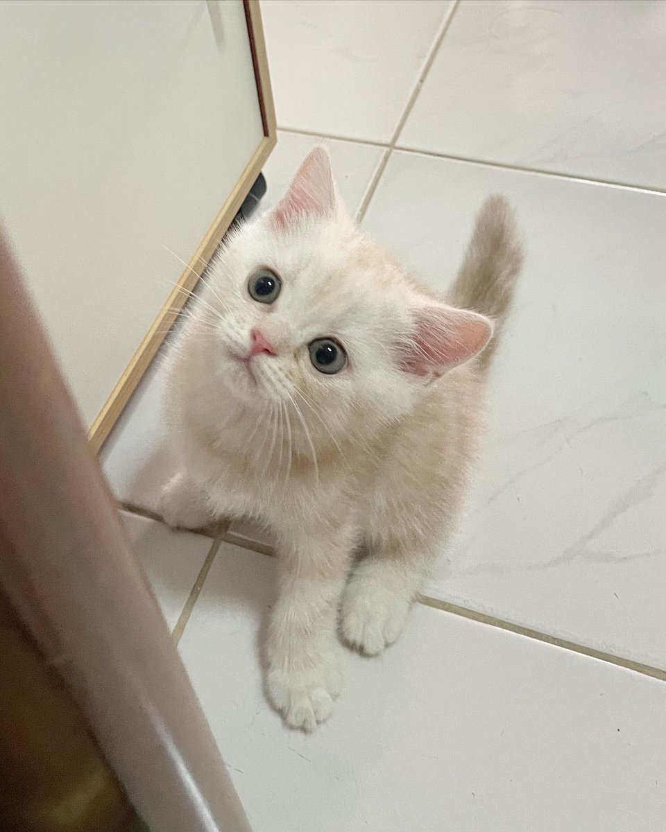 acatmarvel's tweet photo. แงวเด็กกับสายตาอันบริสุทธิ์ของเขา 🥺 https://t.co/MdQxqCdQoy