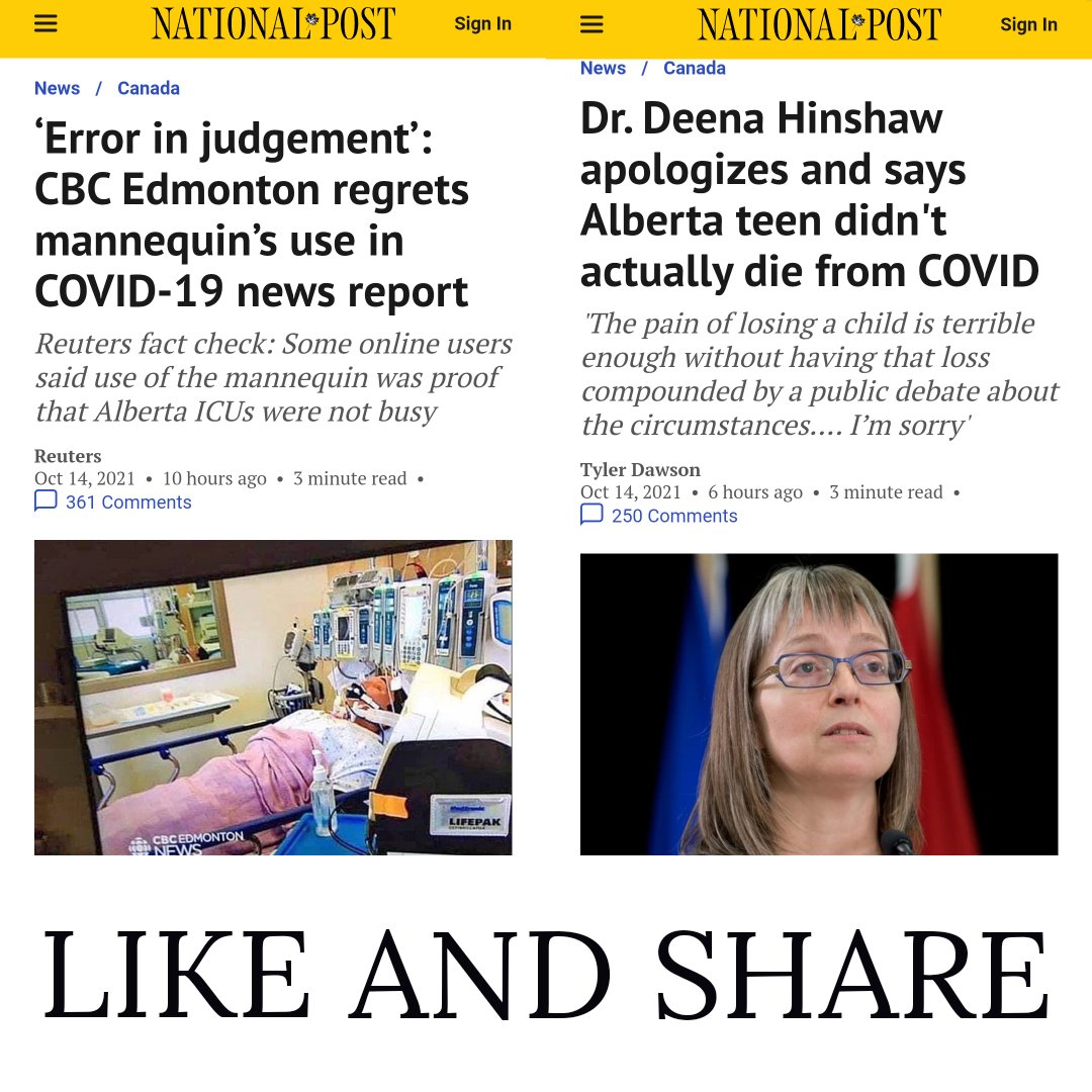 Yanky 🇺🇲 tweet media