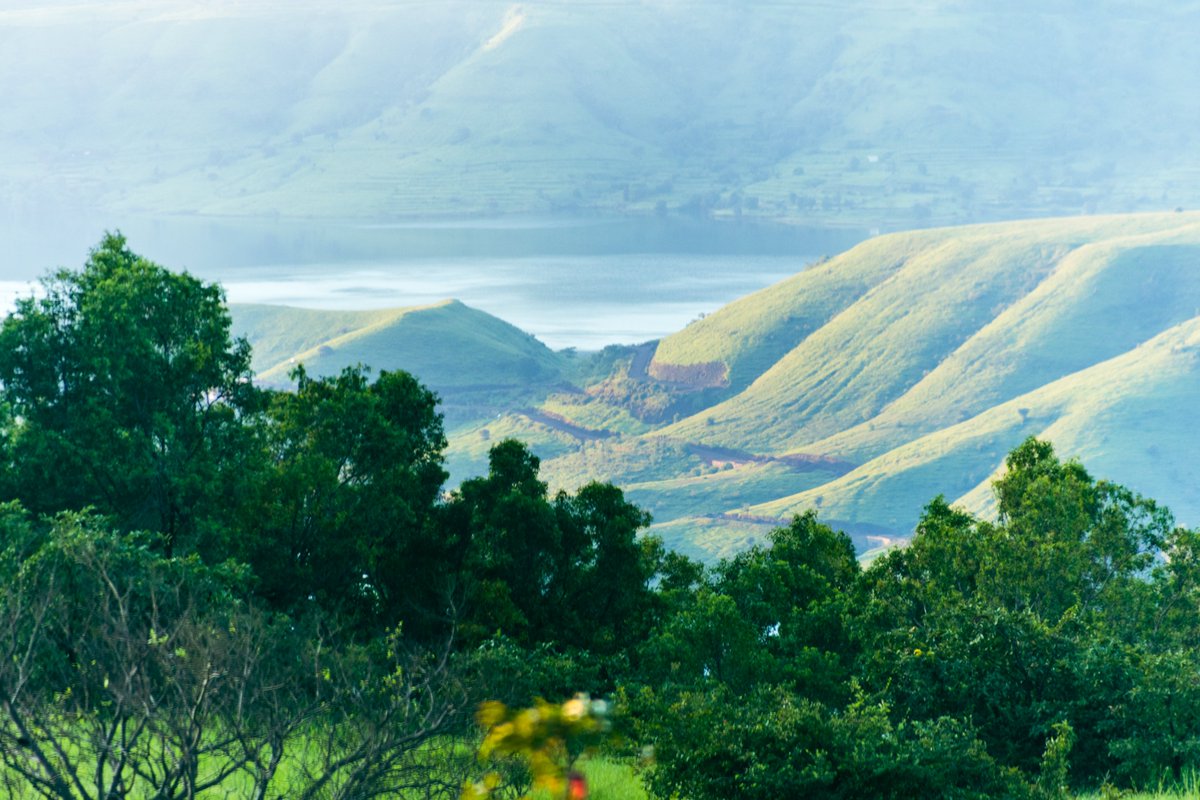 JaypNair's tweet photo. @UNESCO #worldheritage #travelphotography @maha_tourism #wanderlust #nature #flowers #satara #travel #exploretheworld #kaas #tourism #kaaspathar #incredibleindia #naturephotography #kassplateau #naturelover https://t.co/kcCPQZmt5W