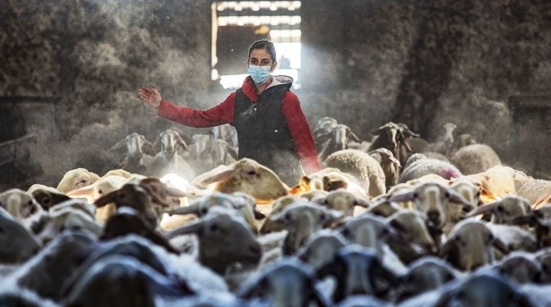 castburbu's tweet photo. Feliz Día de la #MujerRural 

Necesarias para sostenerlo, con un trabajo muchas veces silencioso y no reconocido

Por un medio rural donde todas las partes sean protagonistas 

El artículo de @jorjaramil tiene unos años, pero desgraciadamente podría ser de ayer mismo https://t.co/IJ91Iwgjkd