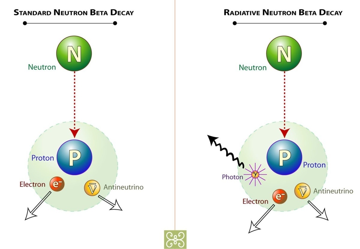 При распаде нейтрона образуются. Распад нейтрона. Схема распада свободного нейтрона. Нейтрон распадается на Протон и электрон. Нейтрино и антинейтрино.