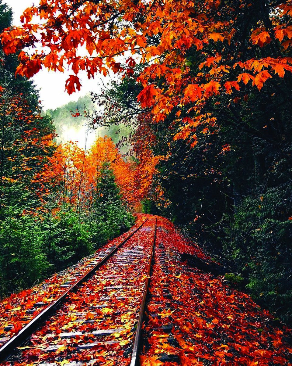 The fall beauty