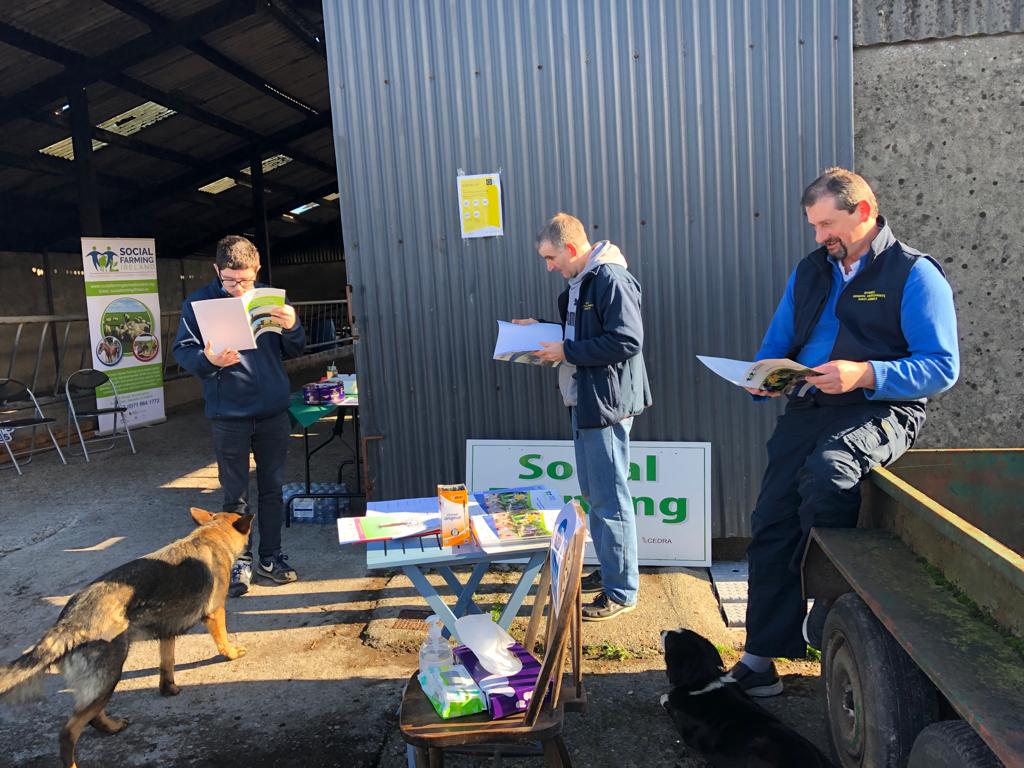 It's a beautiful morning here on Dixons farm in Mayo as we get ready to welcome visitors for a Social Farming event for Mayo Social Inclusion Week. The sweeping is done and there's still time to read! <a href="/agriculture_ie/">Dept of Agriculture, Food and the Marine</a> <a href="/HSELive/">HSE Ireland</a> <a href="/WesternCareMayo/">Western Care Mayo</a>
