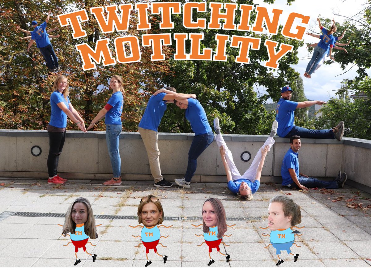 Hygiene & Mikrobiologie @Uni_WUE (@hymi_wue) on Twitter photo 