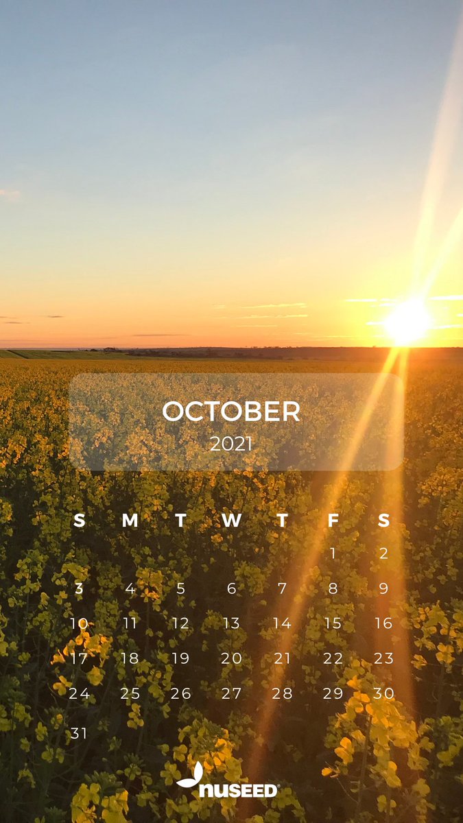 NufarmSeedsAU's tweet image. Did you download our October screensaver?
If you have a great Nuseed crop photo you’d like to be featured next month, then share it with us. Tag @NuseedAustralia #PaddockPride and we’ll select a photo for November’s screensaver #valuebeyondyield