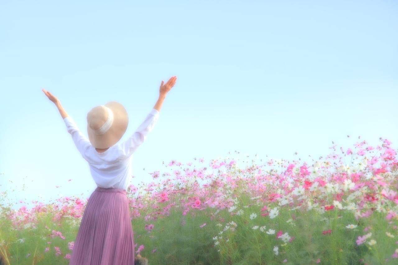 コスモス花宇宙館 Twitter Search Twitter