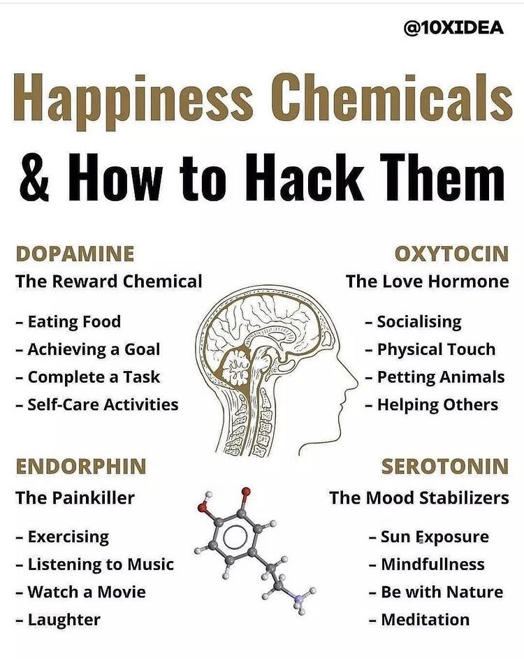 JayneCoppinger's tweet photo. https://t.co/TAMfCIQLfu