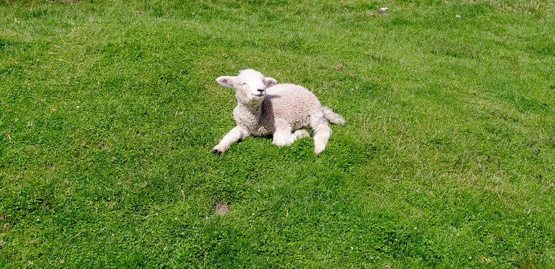 🌿🌼🧺 (@peacozy) on Twitter photo 