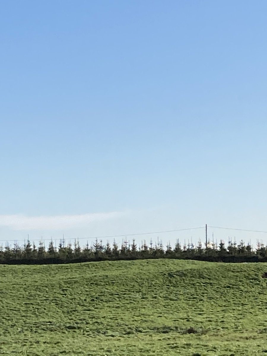 Hearing about how woodland creation on sections of non productive land is working alongside food production on West of Scotland farm. <a href="/qmscotland/">QMS</a> <a href="/NFUStweets/">NFU Scotland</a> <a href="/SACFarm4Climate/">Farming For a Better Climate</a> #farmingforthefuture #righttreerightplace
