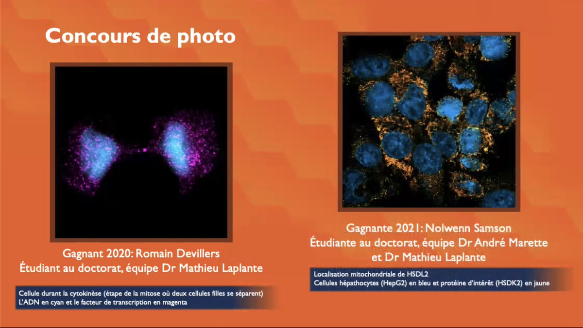 SamsonNolwenn's tweet photo. It’s not much but it’s honest work! 🤓👩🏻‍🔬🔬🧫 #IUCPQScientificDays https://t.co/hyu5JqOICn