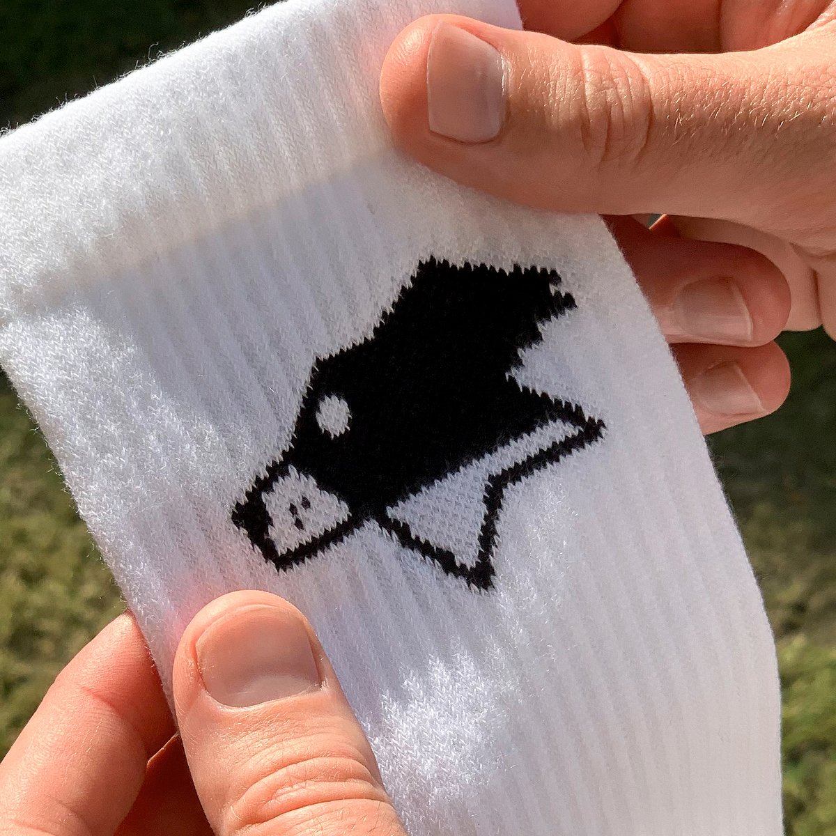 PicklesMagazine's tweet image. 🧦🐶

picklesmagazine.com/collections/sh…