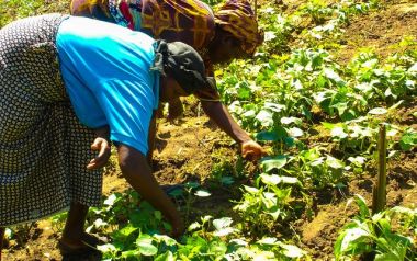 As we celebrate the INTERNATIONAL DAY OF RURAL WOMEN today with the theme “Rural Women Cultivating Good Food for All.” - we take time to remember the strong grandmothers, mothers, aunts and sisters who have nurtured us with the works of their hands