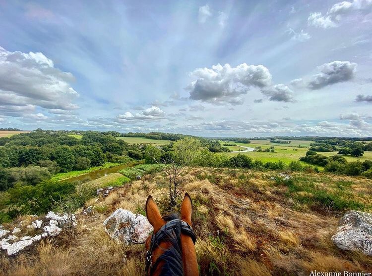 BreizhWeCan's tweet photo. 🐴 Monter en haut du Rocher du Veau, à #Avessac, et juste apprécier la vue.

Cet affleurement de roches est situé tout près de l’endroit où le Don se jette dans la Vilaine.

Une raison de plus de vadrouiller dans le pays de #Redon 

©️Alexanne Bonnier https://t.co/HMMeZJKJTV