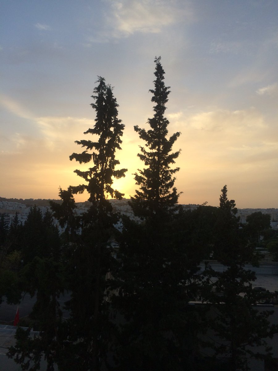 <a href="/Havenlust/">Scott</a> <a href="/BestSunsetPhoto/">📷Вⷡeͤs͛ᴛⷮS͛uͧns͛eͤᴛⷮ Рⷬhͪoͦᴛⷮoͦ🌇</a> À Tunis un autre jour s’en va