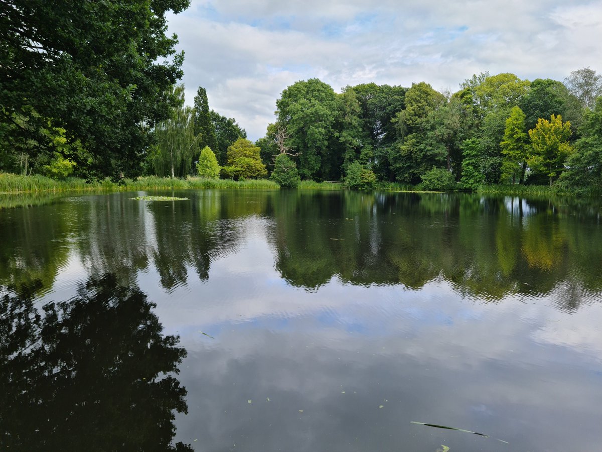 These before and after photos are from Water Lilly clearance in Mid Wales #aquaclearbanda