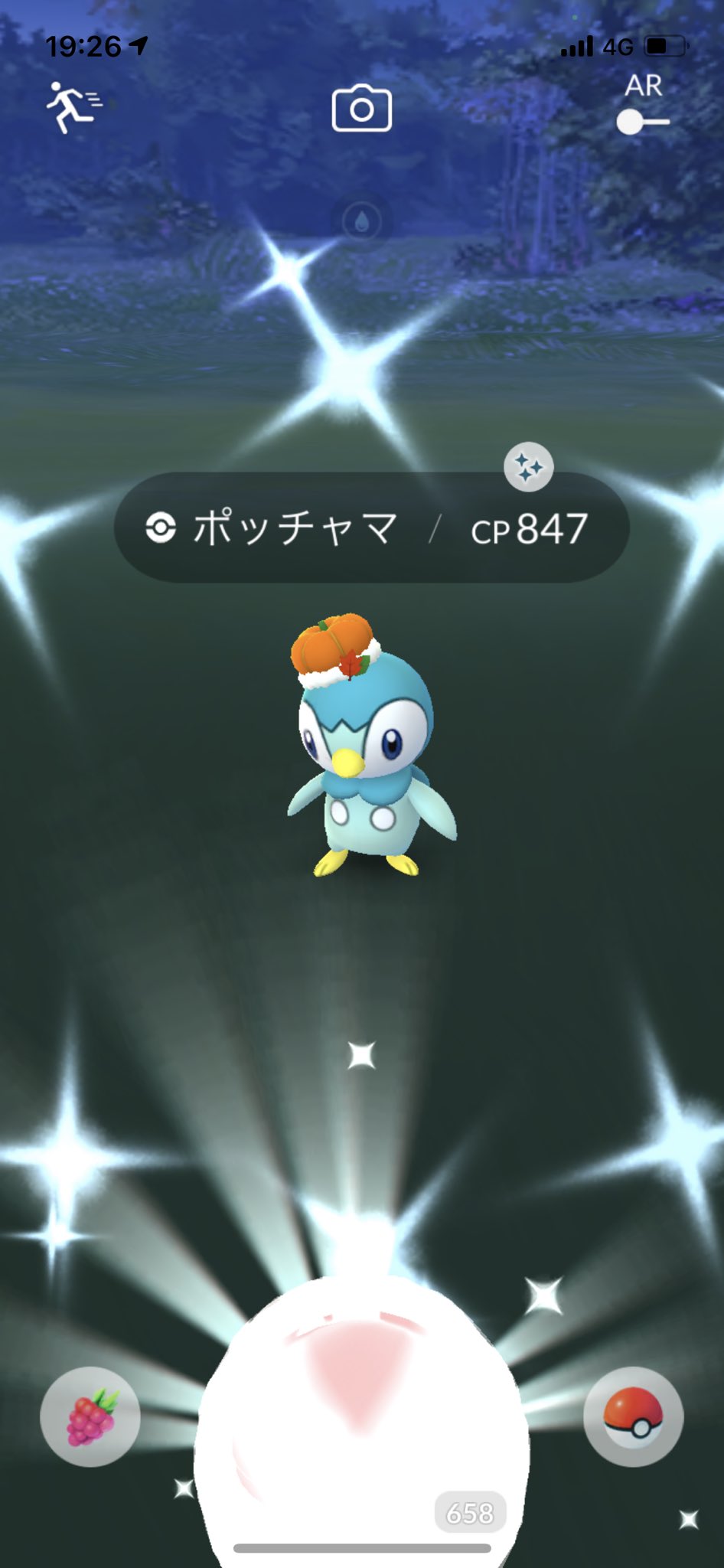 Choku キター 色違い帽子ポッチャマ ゲットだぜ ポケモンgo ポッチャマ T Co Xssd42q1mv Twitter Choku キター 色違い帽子ポッチャマ ゲットだぜ ポケモンgo ポッチャマ T Co Xssd42q1mv Twitter