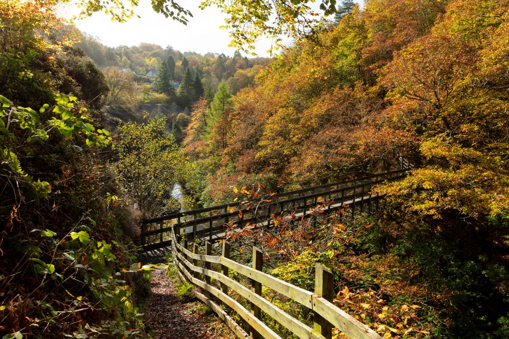 Ceredigion #hydref #autumn  🍂🍂🍂

bit.ly/3mUYC2i