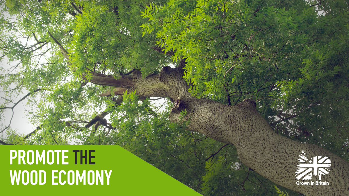 GrowninBritain's tweet photo. Well-managed forests are a tremendous natural resource providing diverse, rewarding, sustainable employment. From forestry to sawmills, craftspeople, builders, innovators &amp; pioneers, The Wood Economy is vital for ecological &amp; economic security in a changing world.
#GiBWeek2021 https://t.co/dUbb8X5YKp