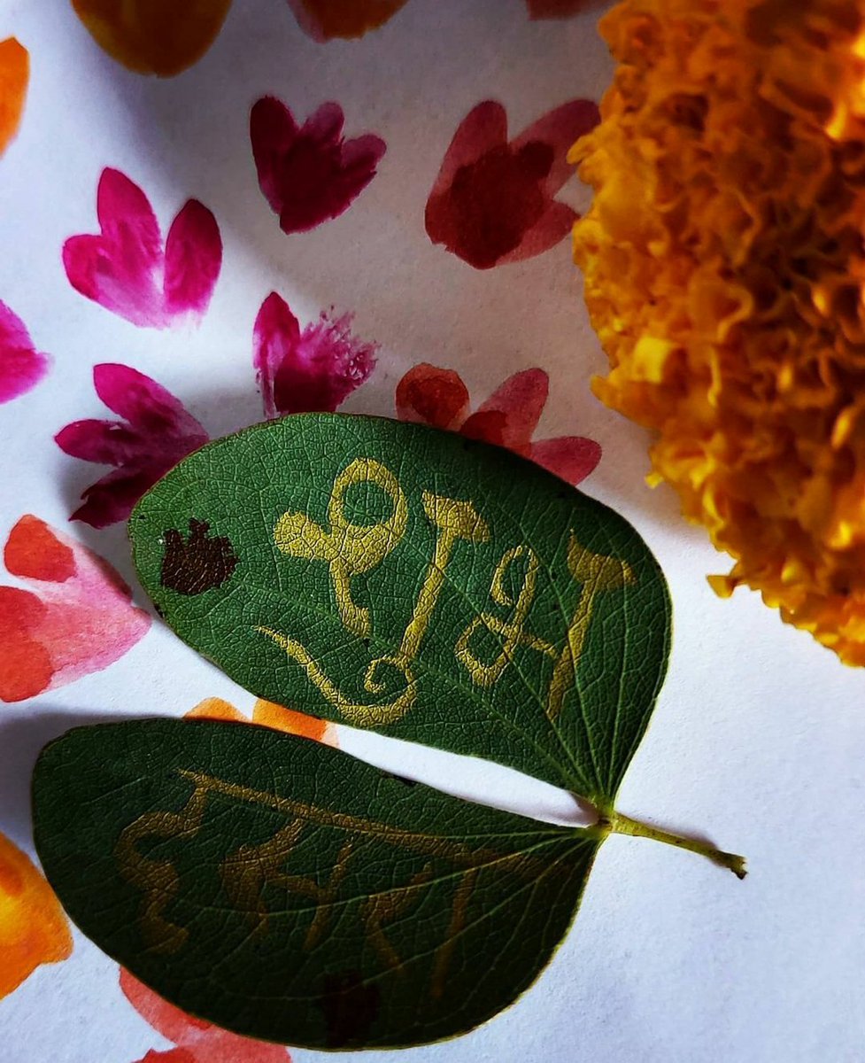 GharePrajakta's tweet photo. शुभ दसरा 🍃
#dussehra2021 #शुभदसरा #VijayaDashami2021 https://t.co/gr2fw1omdO