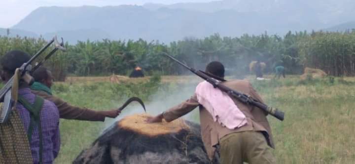 NegusseMeseret's tweet photo. @SecBlinken @FaisalbinFarhan Amhara genocide oromia welega  amhara civilians😭😭😭😭😭 https://t.co/zgwkDKyg1v