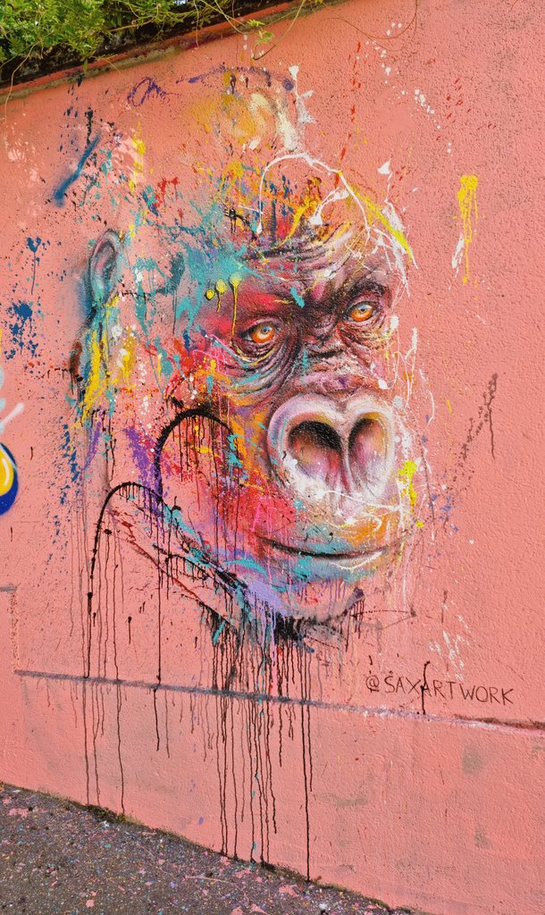 Street_Graff's tweet photo. By #saxartwork  

#streetart #streetartparis #paris #streetartparis13 #Paris13 #13e #streetarteverywhere #instart  #labutteauxcailles #artworks #butteauxcailles #likeforlikes #color #animals #instagram #draw  #streetlovers #france  #streetphotography #artlovers #gorille #zoo https://t.co/wX7KynWV6l
