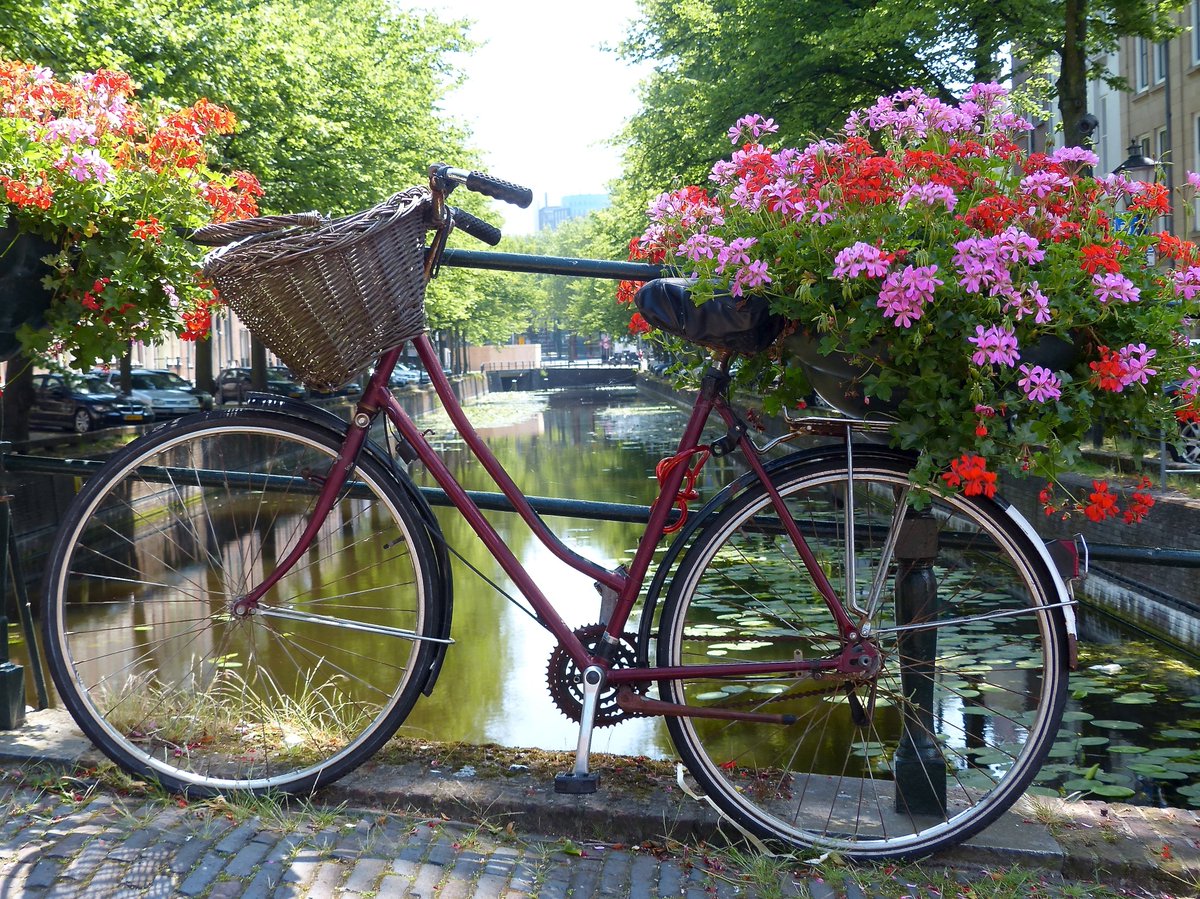 Картинка велосипед. Красивые велосипеды. Велосипед с цветами. Велосипед с корзинкой цветов. Красивый велосипед с цветами.