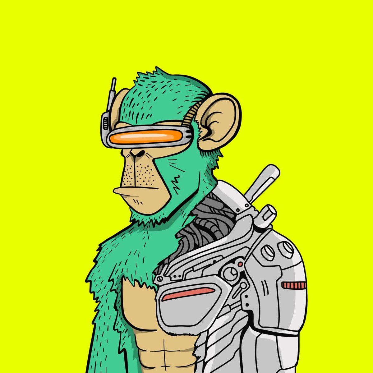 CryptoNotML's tweet image. Yooooo #lunaapes #joinLAD @Luna_Apes