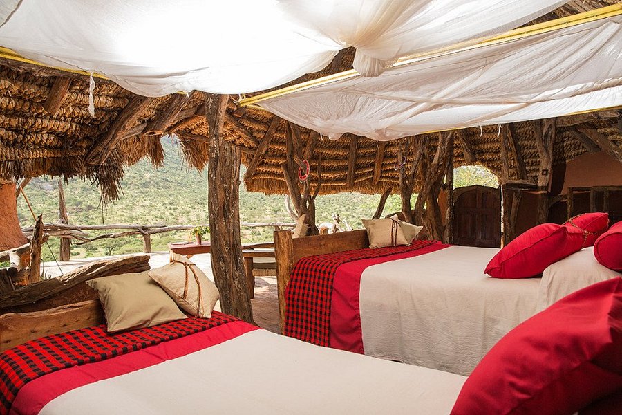 TourismLaikipia's tweet image. LTA member @IlngwesiL has been selected as a world nominee in the World Travel Awards 2021

They are nominated as the World-leading Eco Lodge 2021

Voting will close on the 25th, October 2021

Click on link below to vote
bit.ly/3vcMYDs

📷: @Tripadvisor 
#TembeaKenya