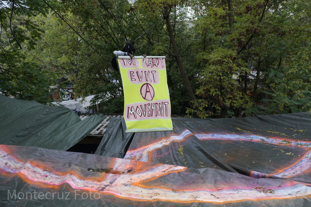 Montecruz Foto tweet media