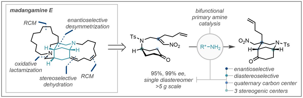 A New Organocatalytic Desymmetrization Reaction Enables the Enantioselective Total Synthesis of Madangamine E - out now on <a href="/ChemRxiv/">ChemRxiv</a>!

Congrats to Shinya (<a href="/r6vT6hSx6jdB2xP/">回復しつつあるドット虚無</a>), <a href="/benshennan11/">benshennan1</a>, <a href="/KenYamazaki5/">Ken Yamazaki</a> (for #compchem with <a href="/TrevorAHamlin/">Trevor A. Hamlin</a>), Angel and Vasu!

doi.org/10.33774/chemr…