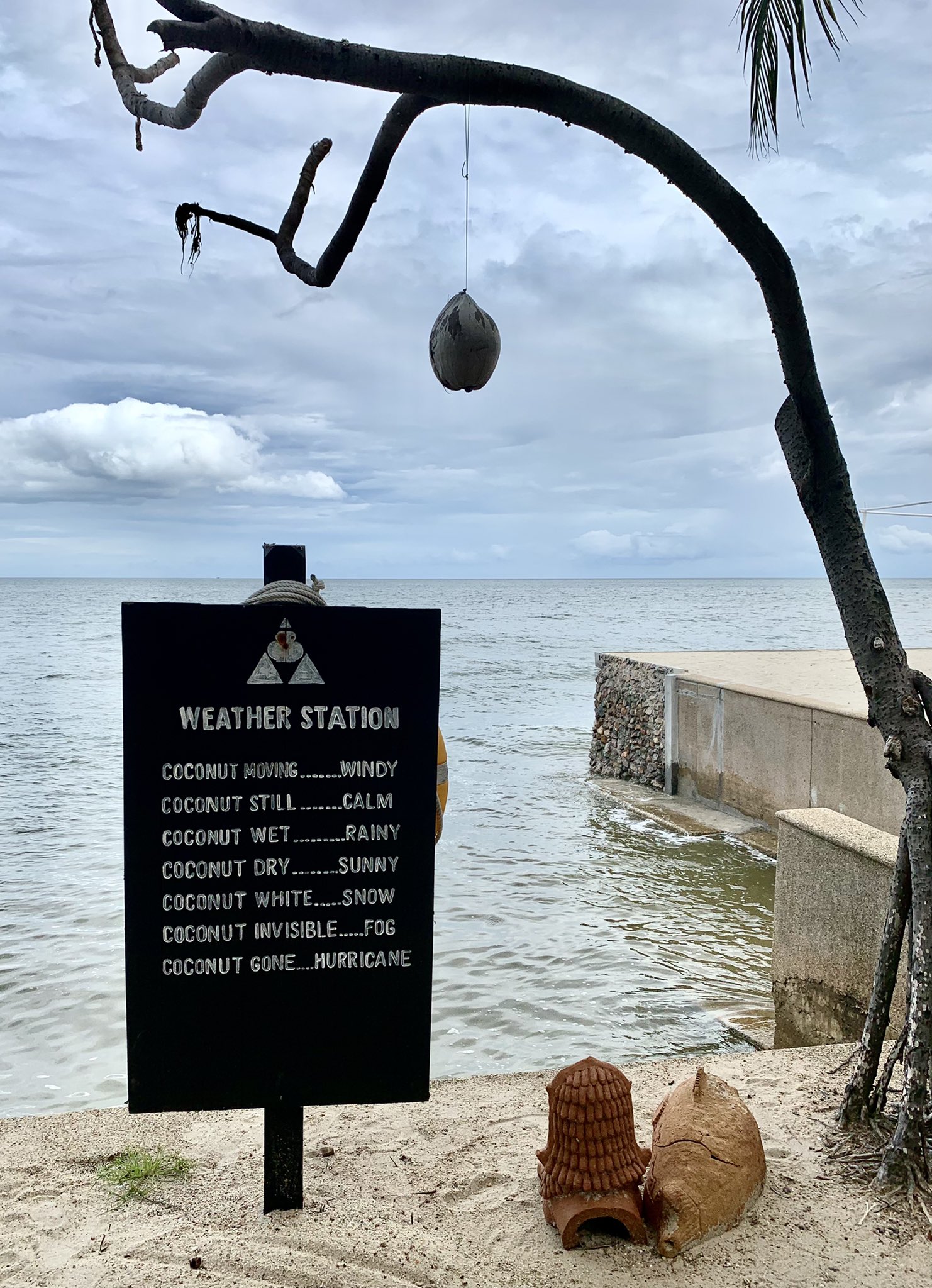Laura Buzzoni on X: "Coconut weather station 🌴🥥🌊  https://t.co/6bmRjIz9kH" / X