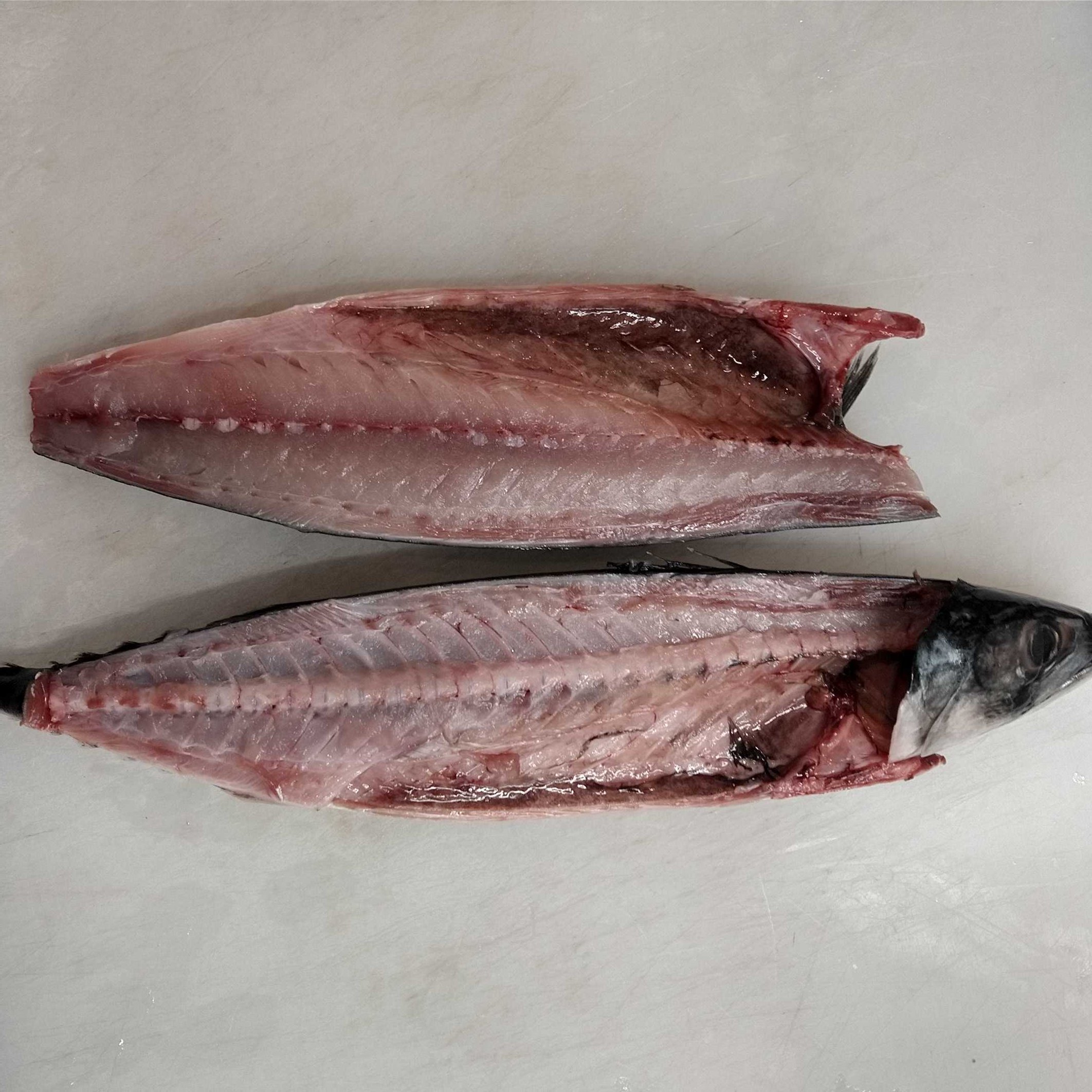飲食店の鮮魚仕入れサイト 魚ポチ Uopochi Twitter