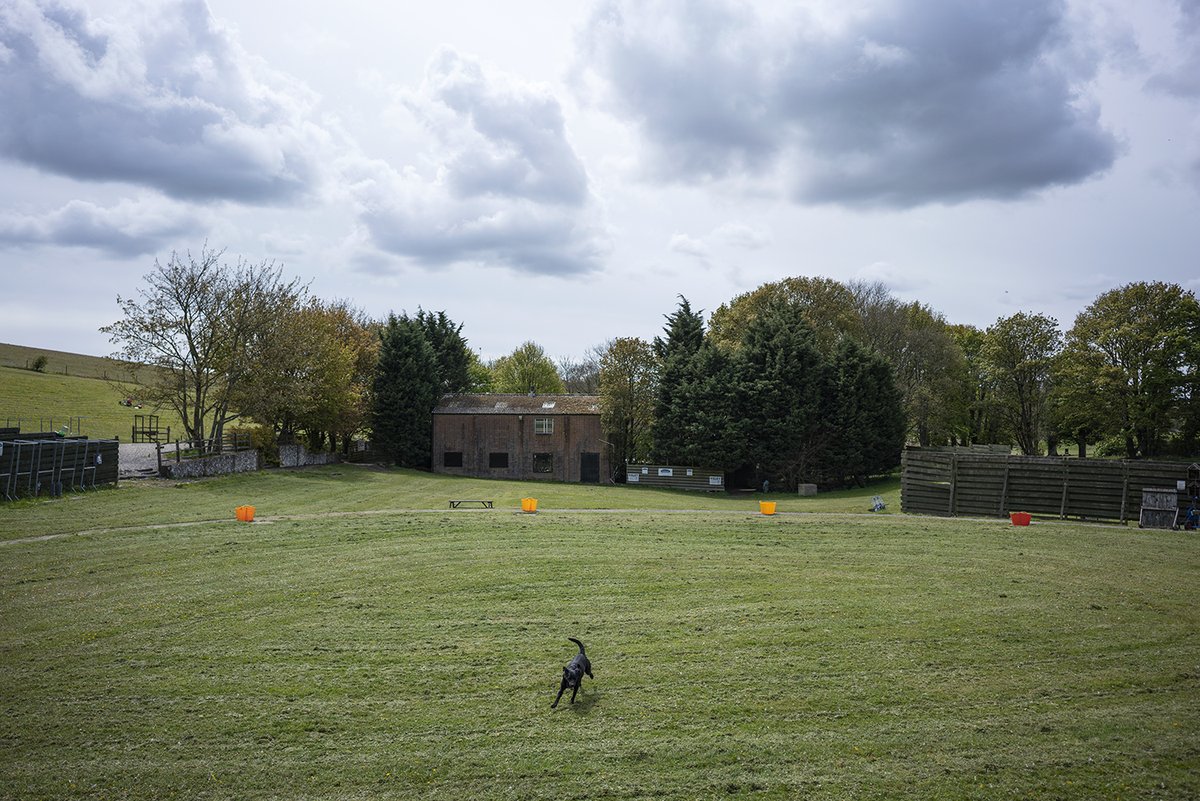 Southdown Gun Club (@southdowngc) on Twitter photo Who's ready for the weekend? We're open now! No need to book simply turn up and shoot.
For all enquiries please contact us directly.
01903 877555
info@southdowngunclub.co.uk
#southdowngunclub #gunclub #shotguns #clayshooting #clayshoot #guns #targetshoot #gunroom #shotgun Who's ready for the weekend? We're open now! No need to book simply turn up and shoot.
For all enquiries please contact us directly.
01903 877555
info@southdowngunclub.co.uk
#southdowngunclub #gunclub #shotguns #clayshooting #clayshoot #guns #targetshoot #gunroom #shotgun