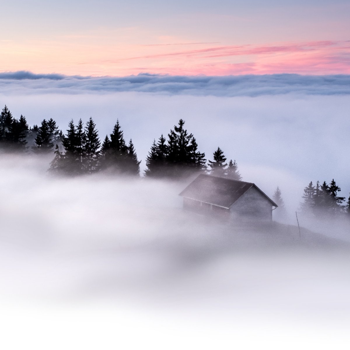 EnerKeySEMS's tweet image. With EG EnerKey, you can also monitor the impact of earlier energy-efficiency measures. Energy management, CO2 emissions reporting, automatic alerts for energy consumption and cost reporting are all available. 🌱

Read more:
enerkey.com/en/eg-enerkey-…

#allweneedisless