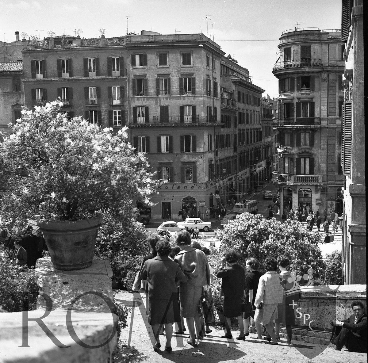 Roma's tweet photo. #Romember - Ricordi di Roma - Trinità dei Monti, 🎞foto del 1964 #BuongiornoRoma © Archivio Capitolino https://t.co/slXoHmM3gd