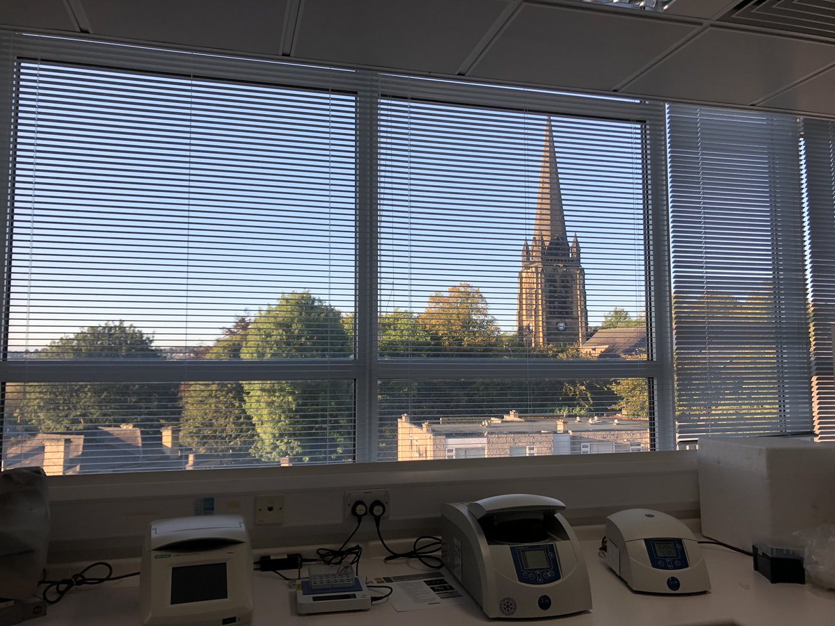 Sophie Williams #patientsnotpassports tweet media