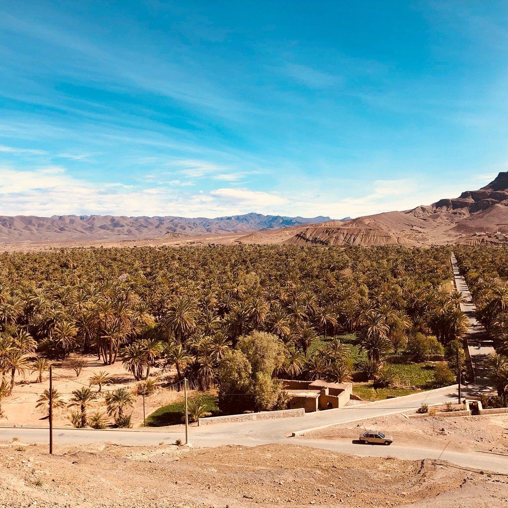 Have you been to #Ouarzazate - #Morocco?

Have you visited #Oasis_Fint?
A fantastic green area in the arid #Draa_Valley

Not to be missed!

#discoveringmorocco #moroccotravels #摩洛哥 #Marokko #Марокко