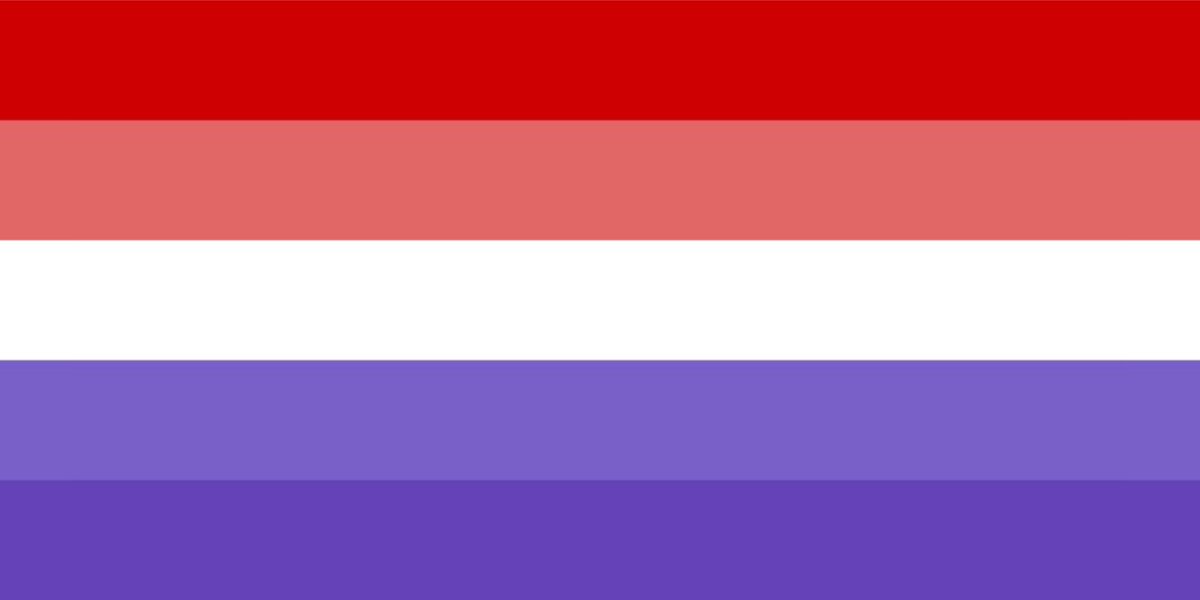 book pride flags ! tweet media