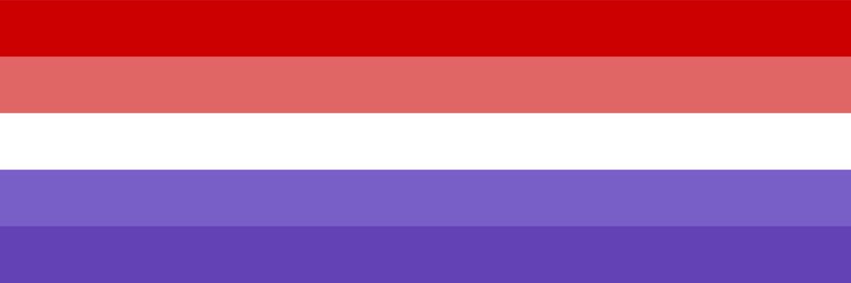 book pride flags ! tweet media