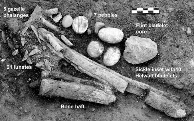 AntiquityJ's tweet photo. This may be a hunter-gatherer's personal toolkit from ~14,000 years ago found at Wadi Hammeh 27 (🇯🇴). The layout suggests they kept it in a bag that has since rotted. #FlintFriday

🔗 from 2007 (£) https://t.co/Qj5VUsVqRL https://t.co/k3KuJ828Py