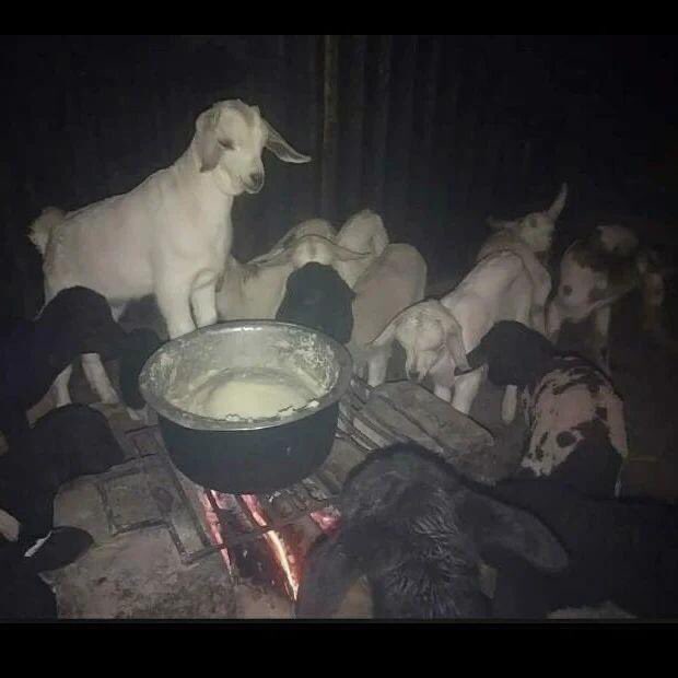 Menye Ndodoo tweet media