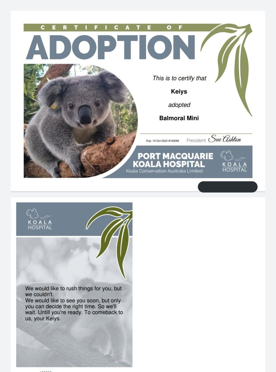 Bzbee_bee's tweet photo. PMKH mailed me that the adoption should be renewed soon,so I did. 
I use the name Keiys bcz i don't know what to call ourselves anymore these days.
Sorry for being ia for months,but without any updates its just too hard to stick around twt.
@HYBE_LABELS_JP
#HYBEJP_K 
#Waiting4K https://t.co/gPvfXteJsy