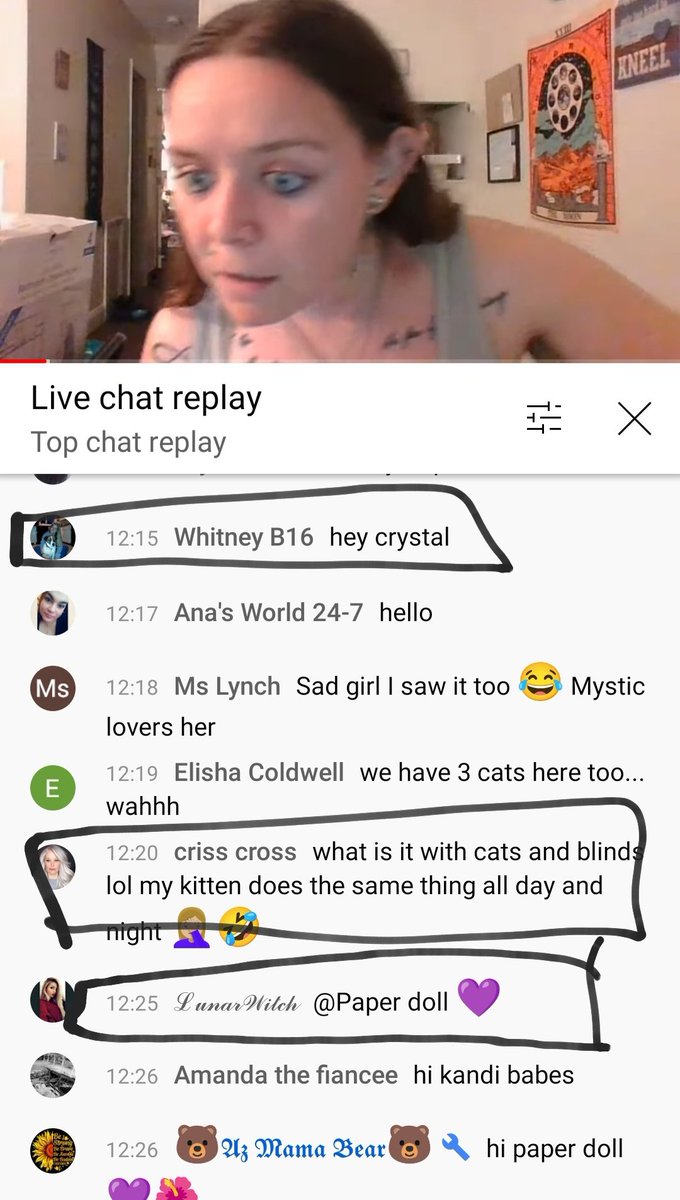 DEPLATFORMMSASHYCAT tweet media