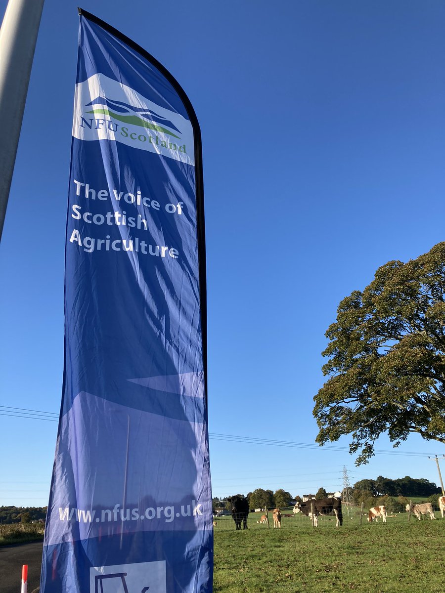 At our West of Scotland pre COP26 fact finding farm visit today at Willie Harper’s farm near Bridge or Weir. Looking forward to hear how he is helping to tackle climate change.<a href="/SACFarm4Climate/">Farming For a Better Climate</a> <a href="/qmscotland/">QMS</a> <a href="/NFUStweets/">NFU Scotland</a> #farmingforthefuture