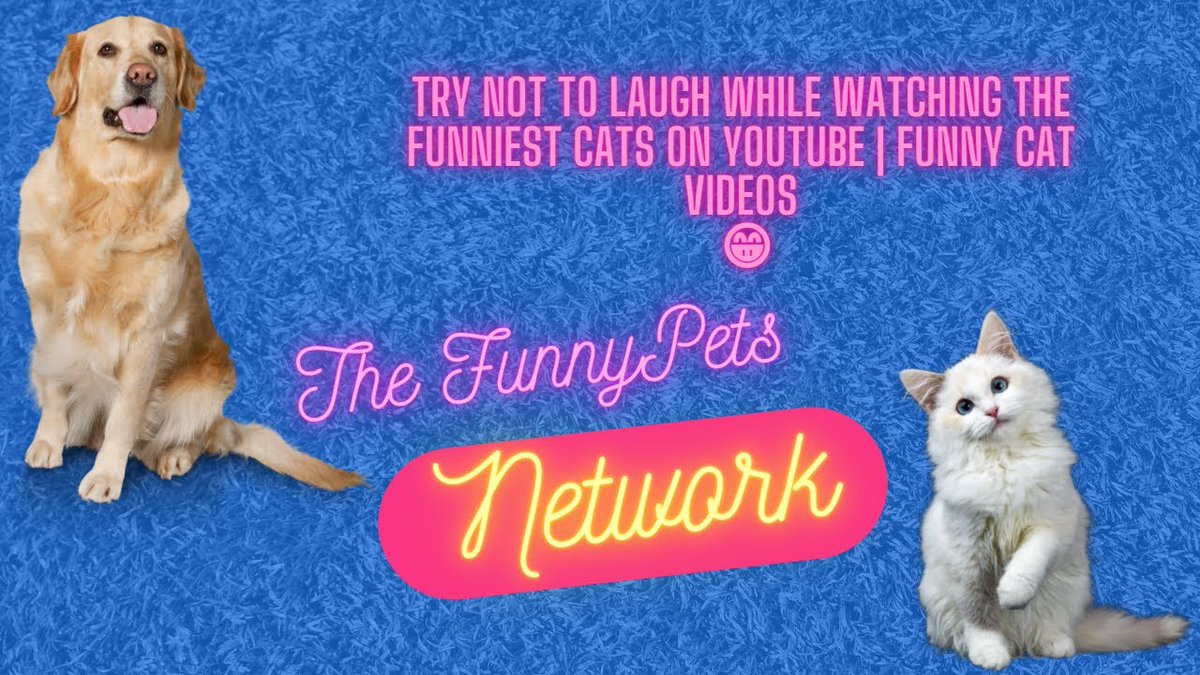 NathanSplit's tweet image. Try not to laugh while watching the funniest cats on youtube | Funny cat videos – Hi, thanks for watching our video!
I decided to create this channel as a huge animal lover, and seeing my own cat doing the most crazy stuff on an al... youtube.com/watch?v=SnhOuS…