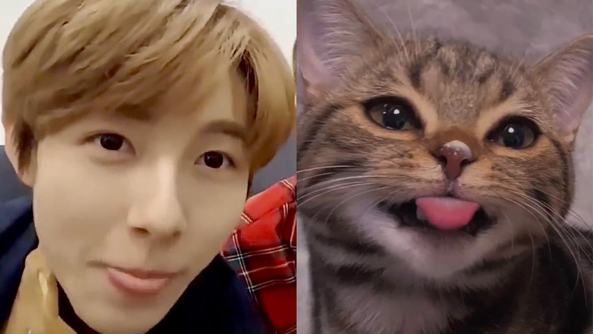 renjun_cat's tweet photo. #RENJUN #런쥔 #仁俊 #ロンジュン #renjun_cat https://t.co/c6xN6nzou5
