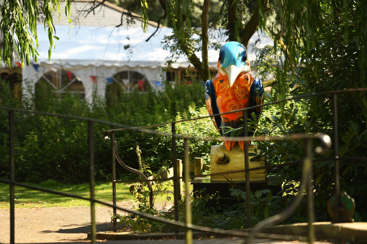The Kingfishers will be auctioned on 21st October 2021. To receive updates and information, please fill out the form on our website. To bid on or buy a Kingfisher in advance, download the Kingfisher Trail app.

kingfishertrail.org/auction
📷 Russell Sach 
🎨 <a href="/GemmaCompton/">Gemma Compton</a>